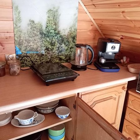 U Janusza I Grazyny Apartment Sciegny Luaran gambar